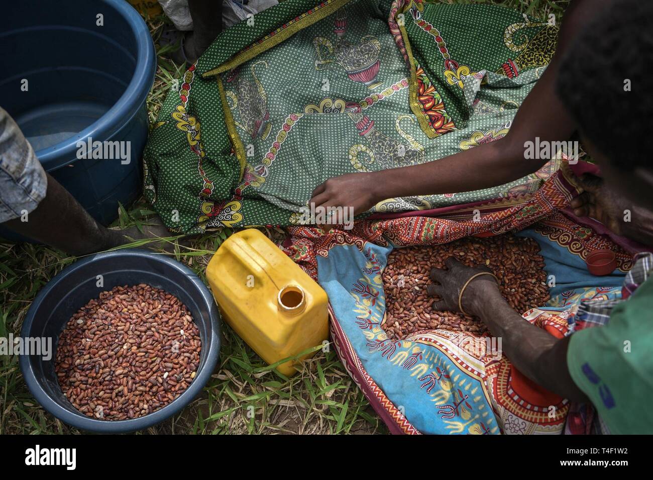 Divide Into Portions High Resolution Stock Photography And Images Alamy Divide Into Portions High Resolution Stock Photography And Images Alamy