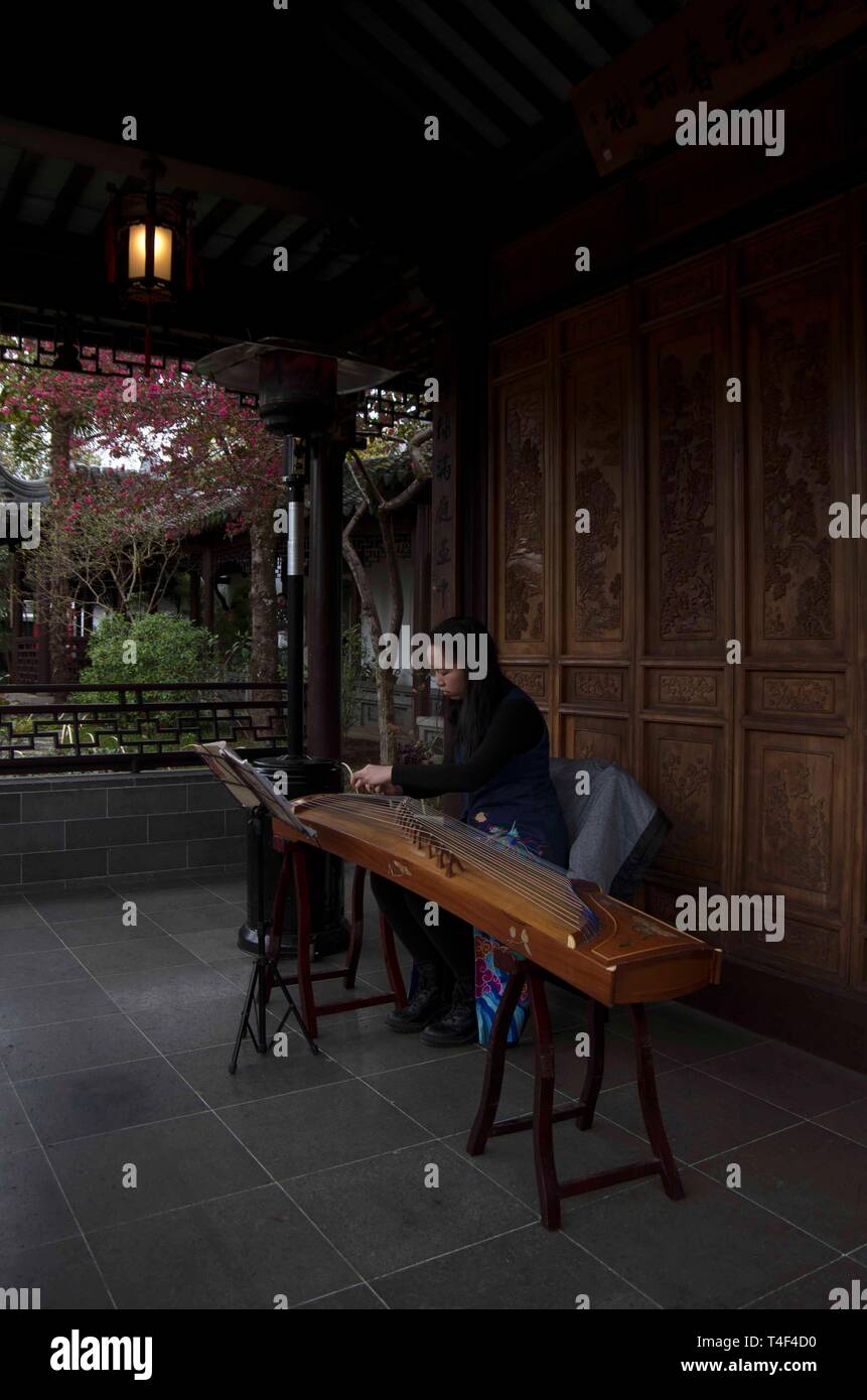 Guzheng hires stock photography and images Alamy