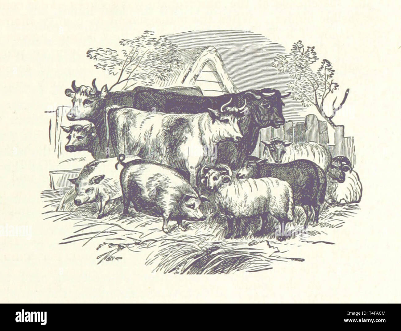 The History of Ogle County Illinois Stock Photo Alamy