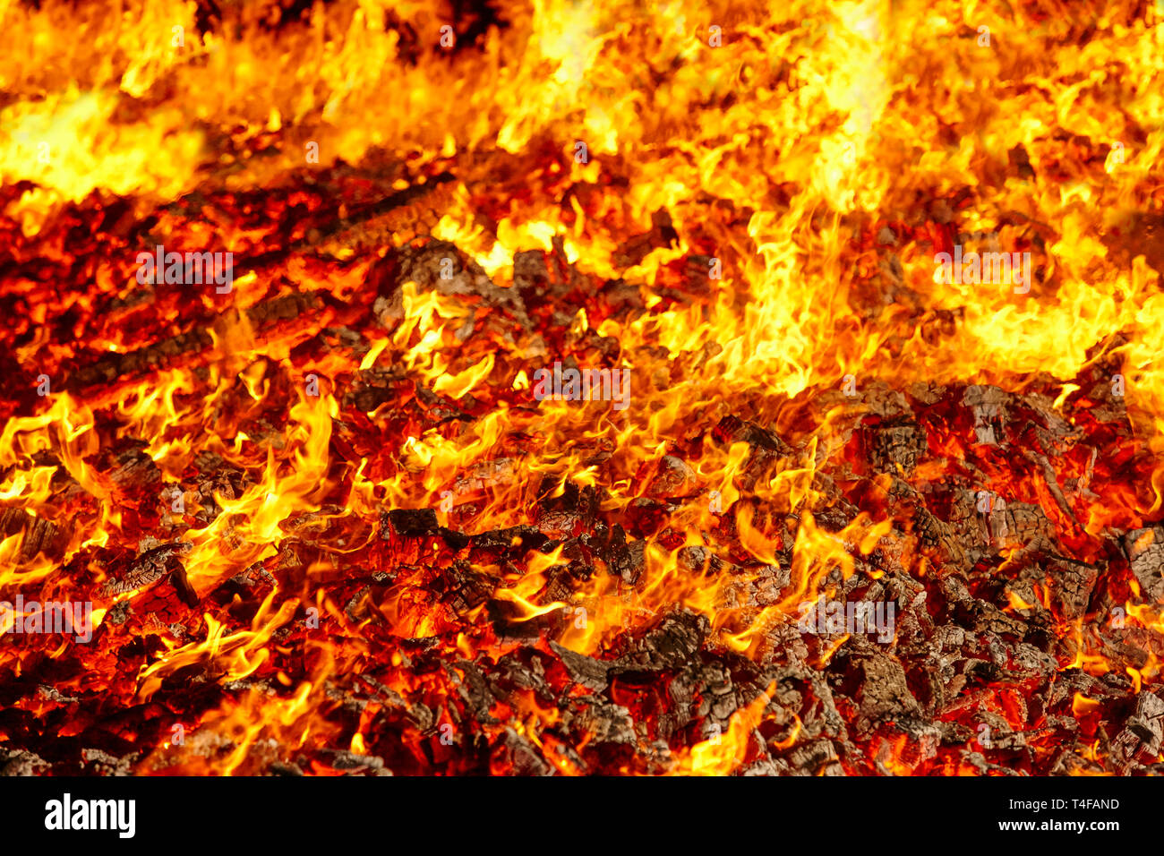 Fire. Volcano incandescent material. Hot charcoal bonfire. Carbon