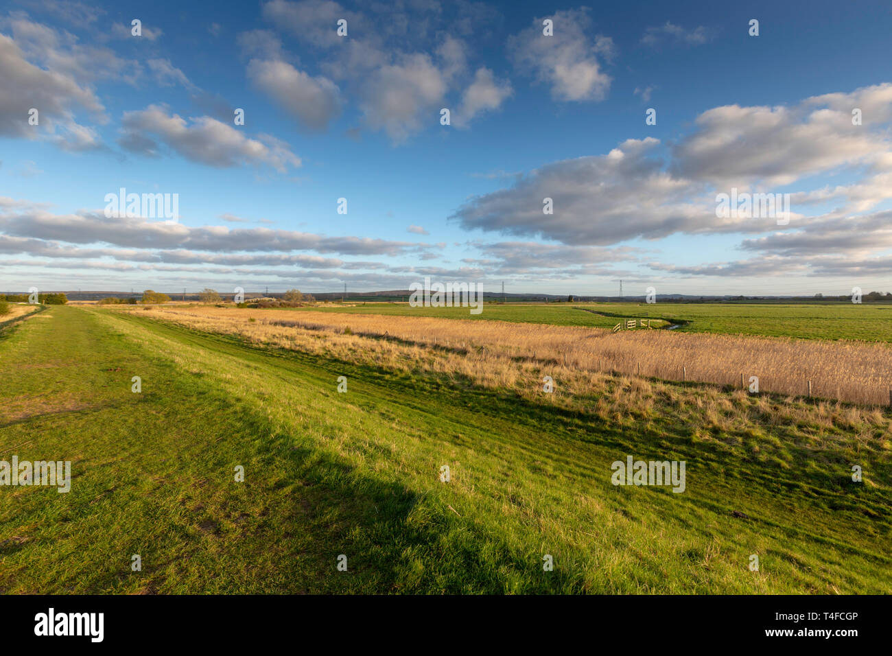 The Saxon Shore Way at Seasalter on the north Kent coast, UK. Stock Photo