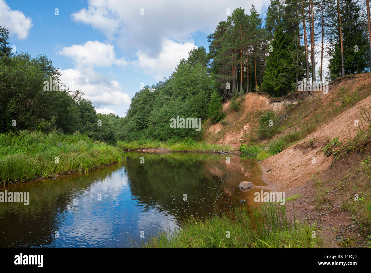 High sandy bank of the Polomet River, Novgorod Region, Russia Stock Photo -  Alamy