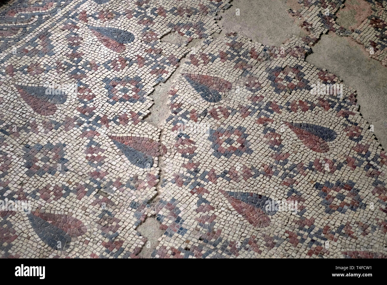 Geometric and floral patterns of mosaic floor at the Shalom Al Yisrael Synagogue, dating to the late 6th or early 7th century CE. in the city of Jericho West bank Israel Stock Photo