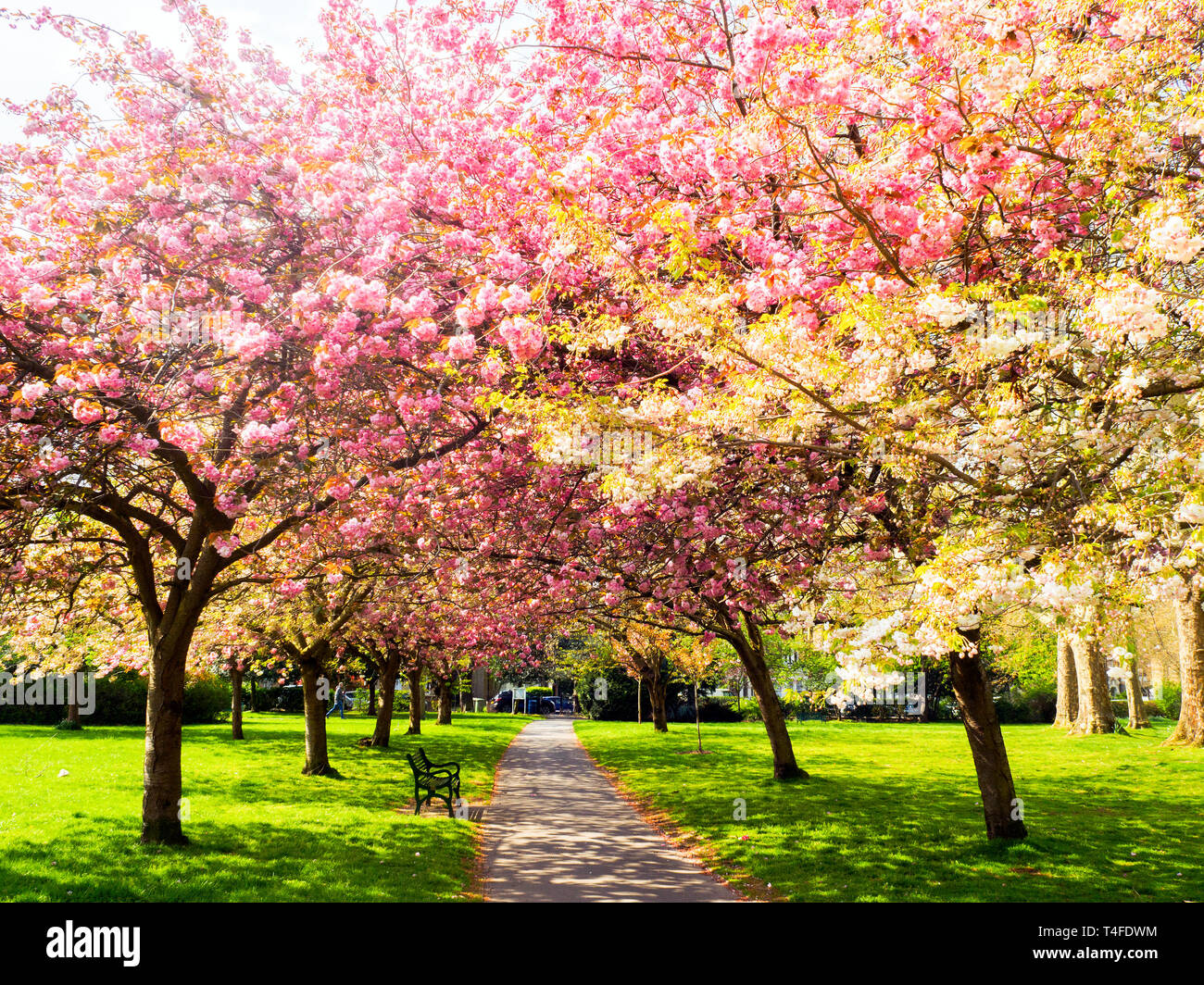 Lewisham park hires stock photography and images Alamy