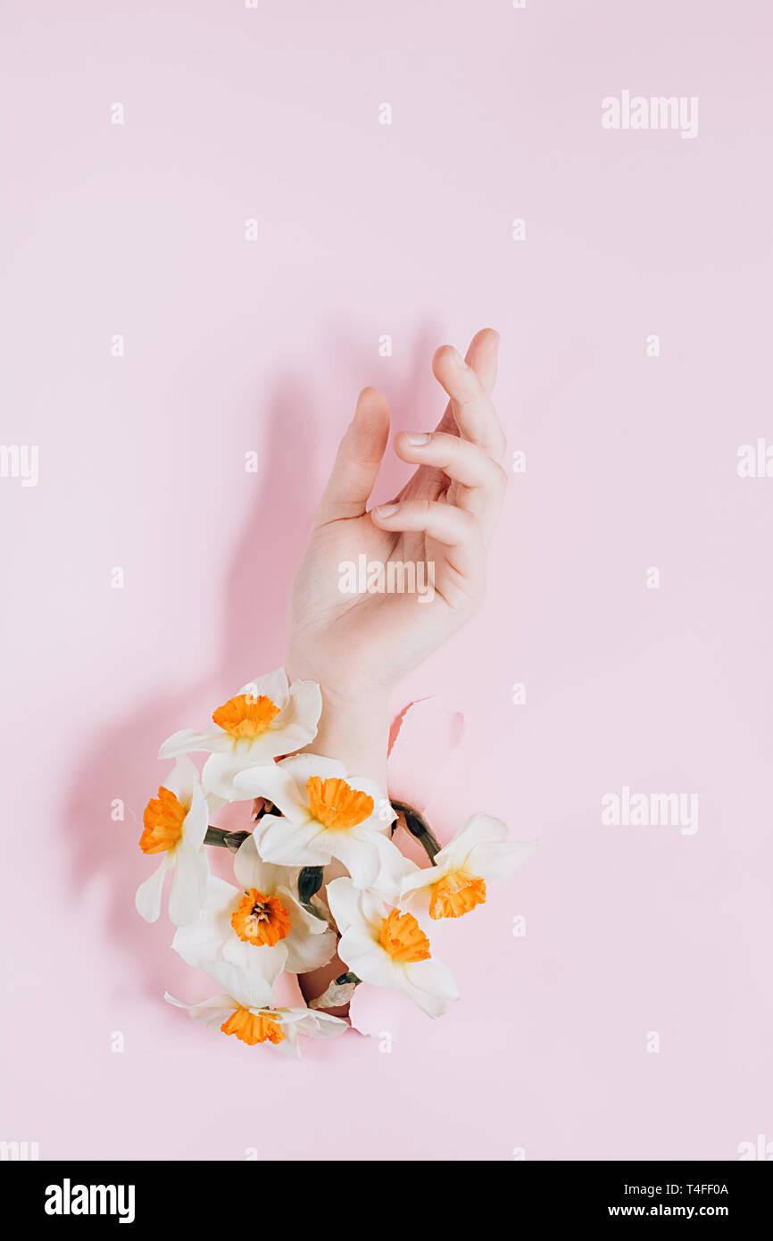 Woman hand through torn a hole in pink paper with flowers. Bright colored background and a gap slot in the paper. Holiday and day mather concept. Stock Photo