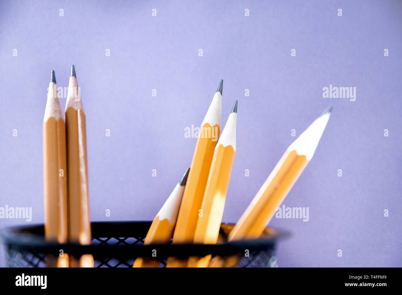 six simple pencils purple background with copy space Stock Photo - Alamy