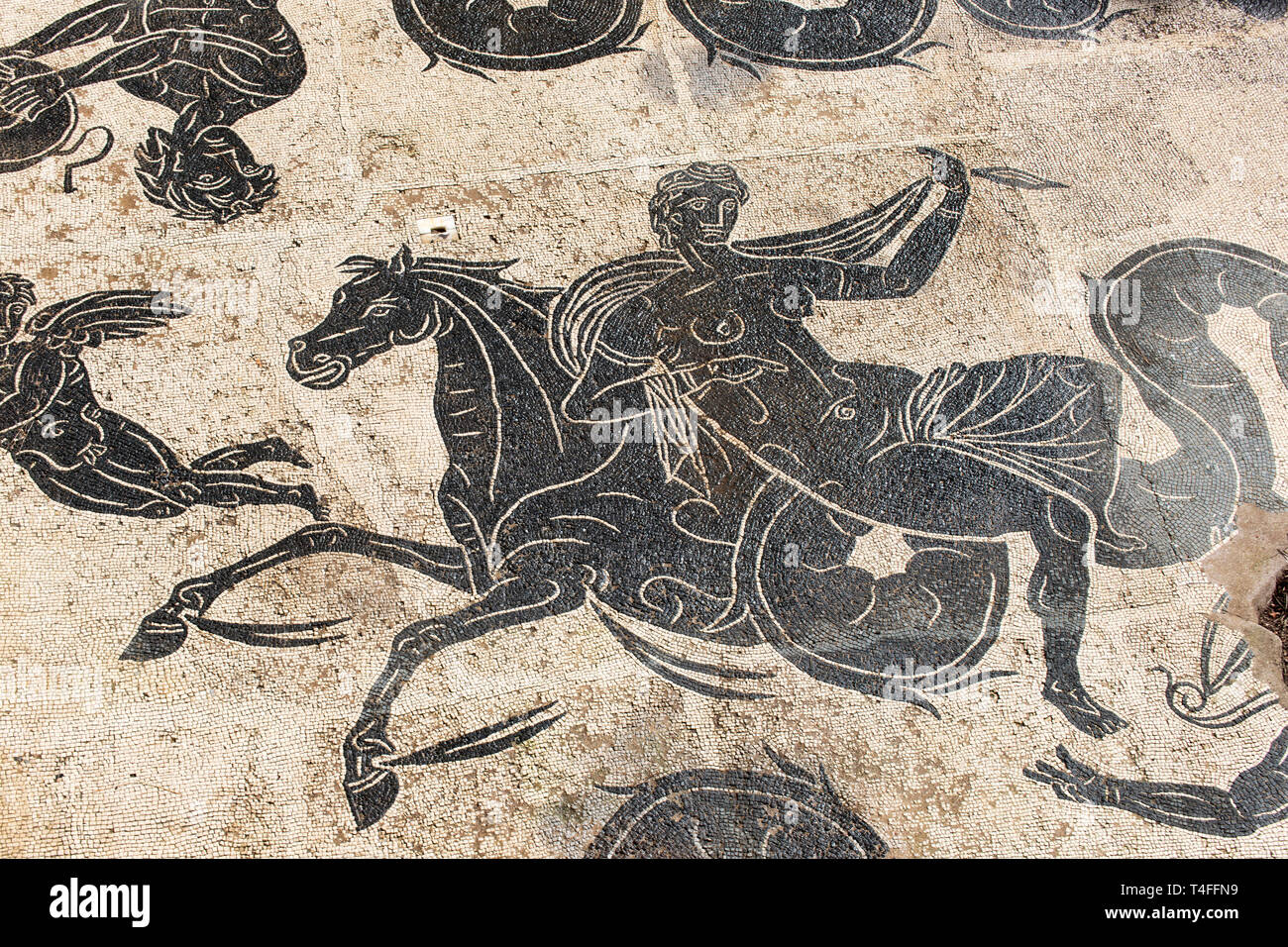 Detail of Nettuno triumph mosaic in the thermal baths of Neptune in