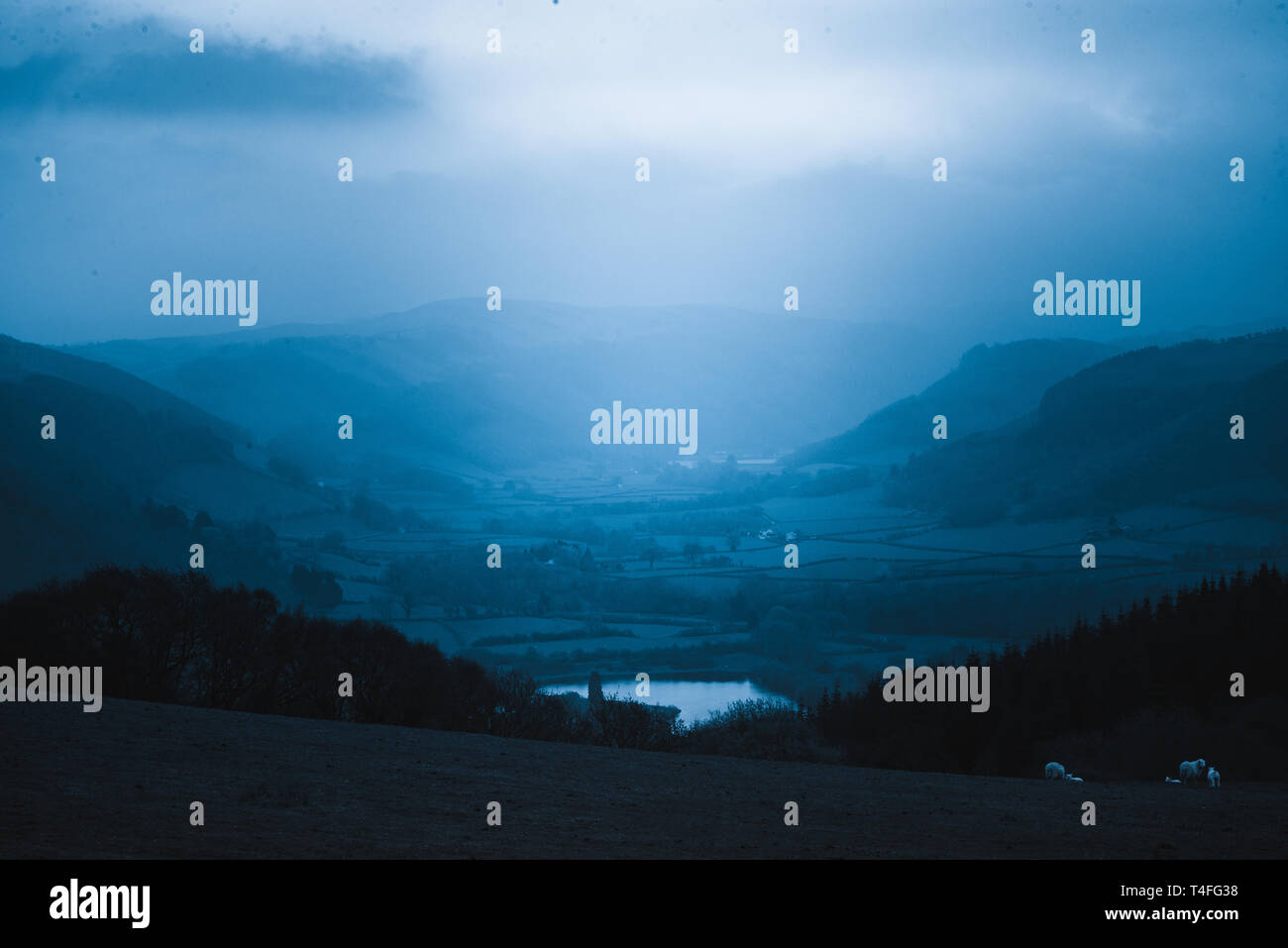 Fine art welsh valley's cyanotype Stock Photo