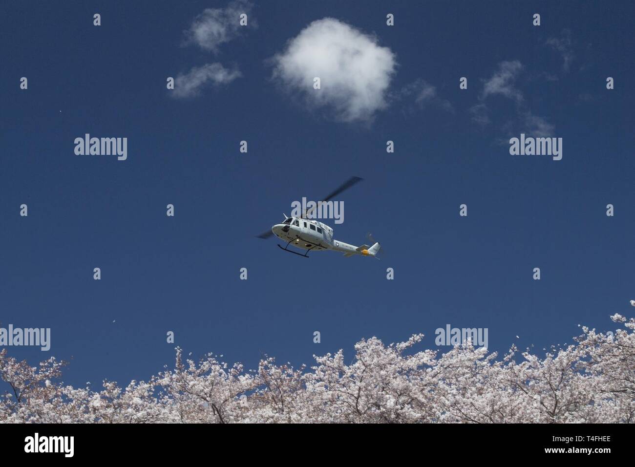 A 459th Airlift Squadron UH-1N Iroquoise helicopter flies over cherry ...