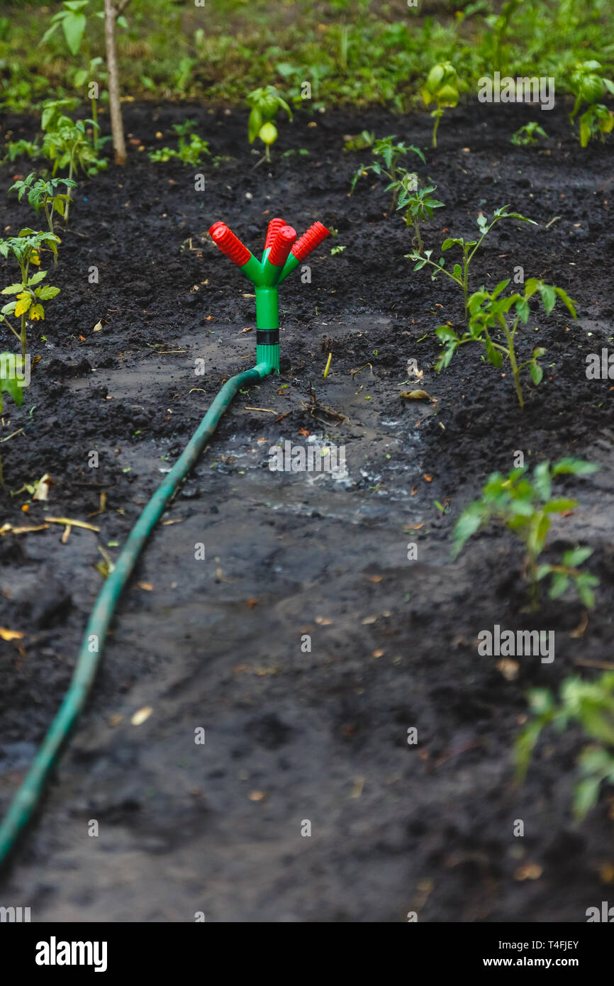 Drip fountain watering system in the garden Stock Photo Alamy