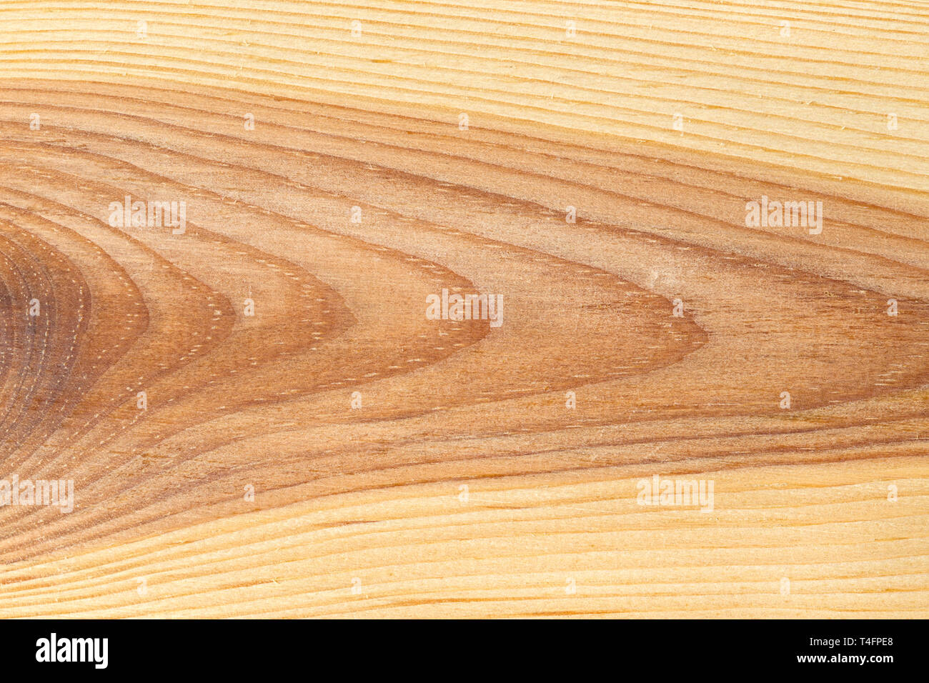Wooden texture close up Stock Photo