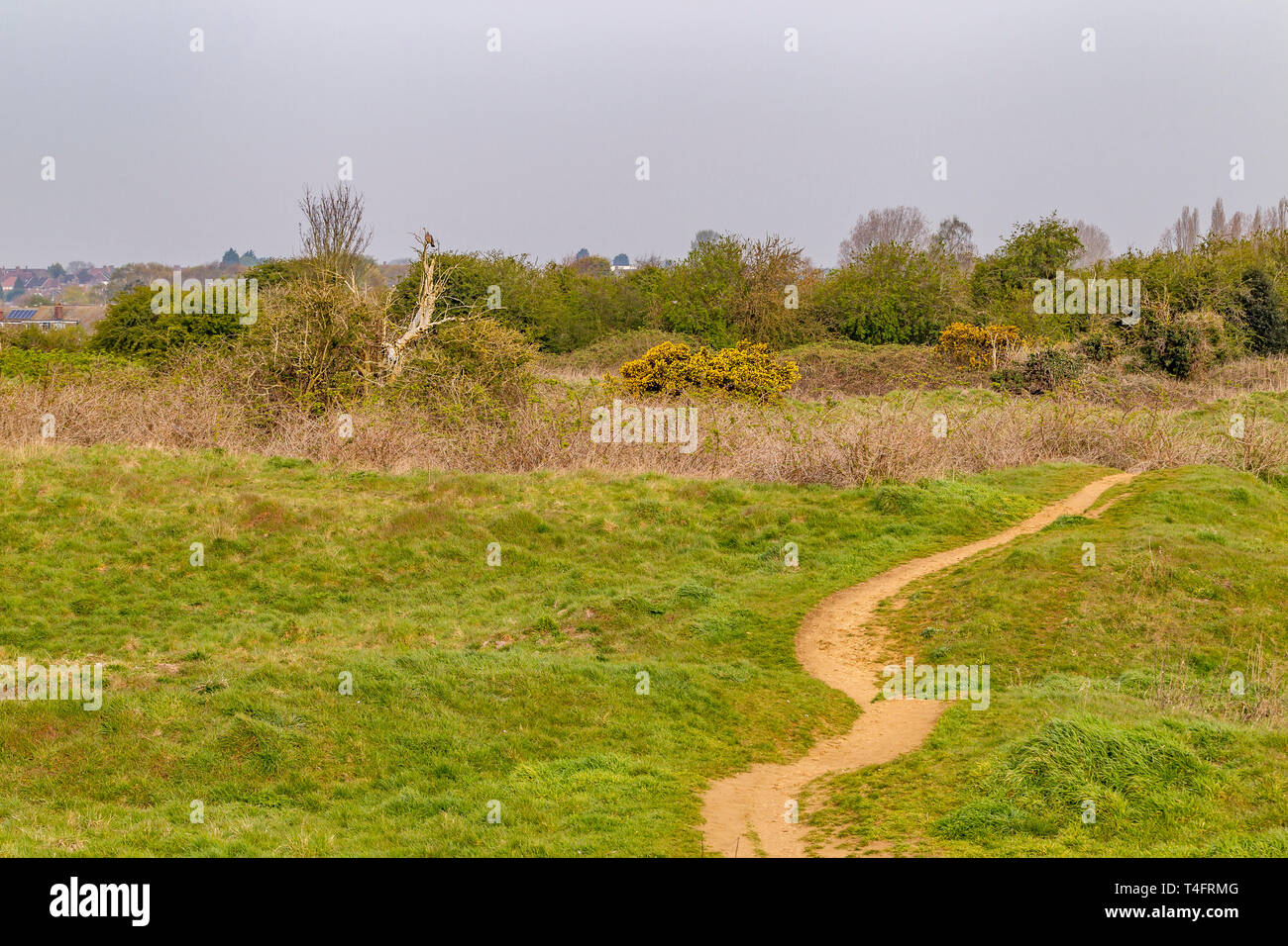 Scrub land hires stock photography and images Alamy