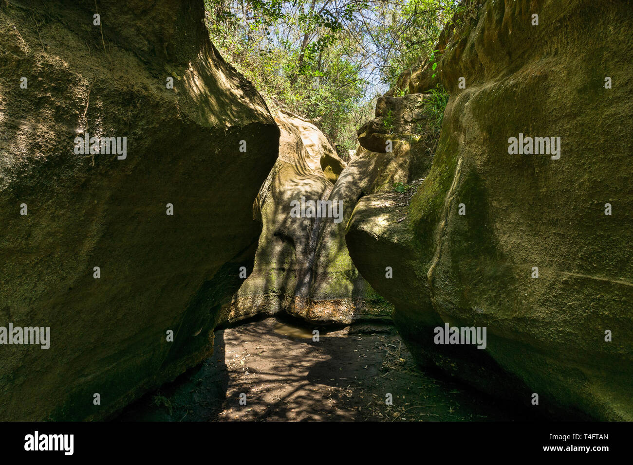 Dry river bed in the narrow section of Ol Njorowa gorge, Hells Gate National Park, Kenya Stock Photo