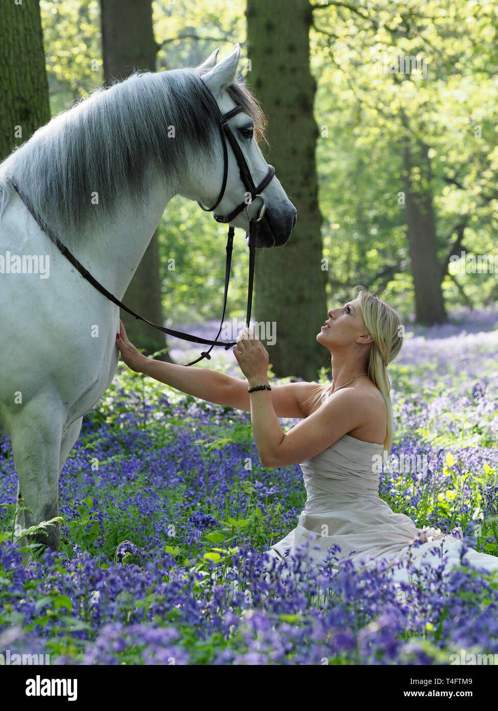 A pretty blonde young woman with her grey horse in a stunning blue bell  wood Stock Photo - Alamy