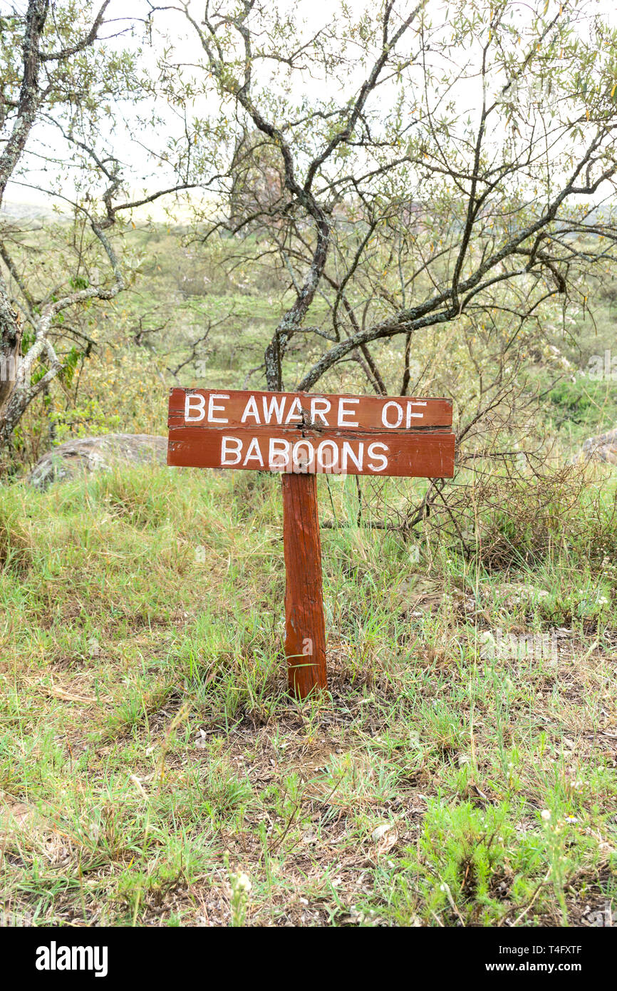 Be aware of baboons sign at Ol Njorowa gorge, Hells Gate National Park, Kenya Stock Photo