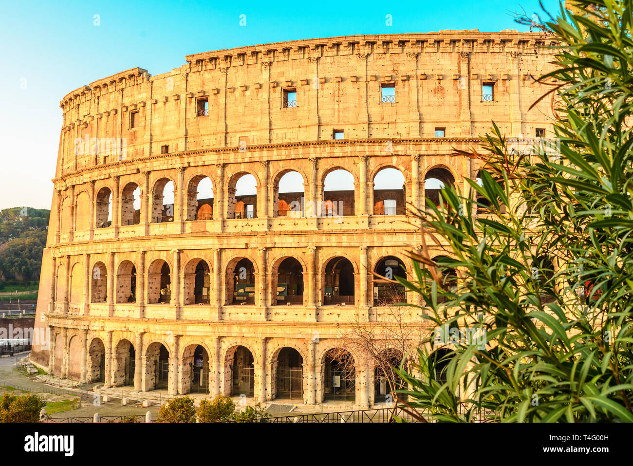 view of Colosseum in Rome, Italy in the sunrise light Stock Photo