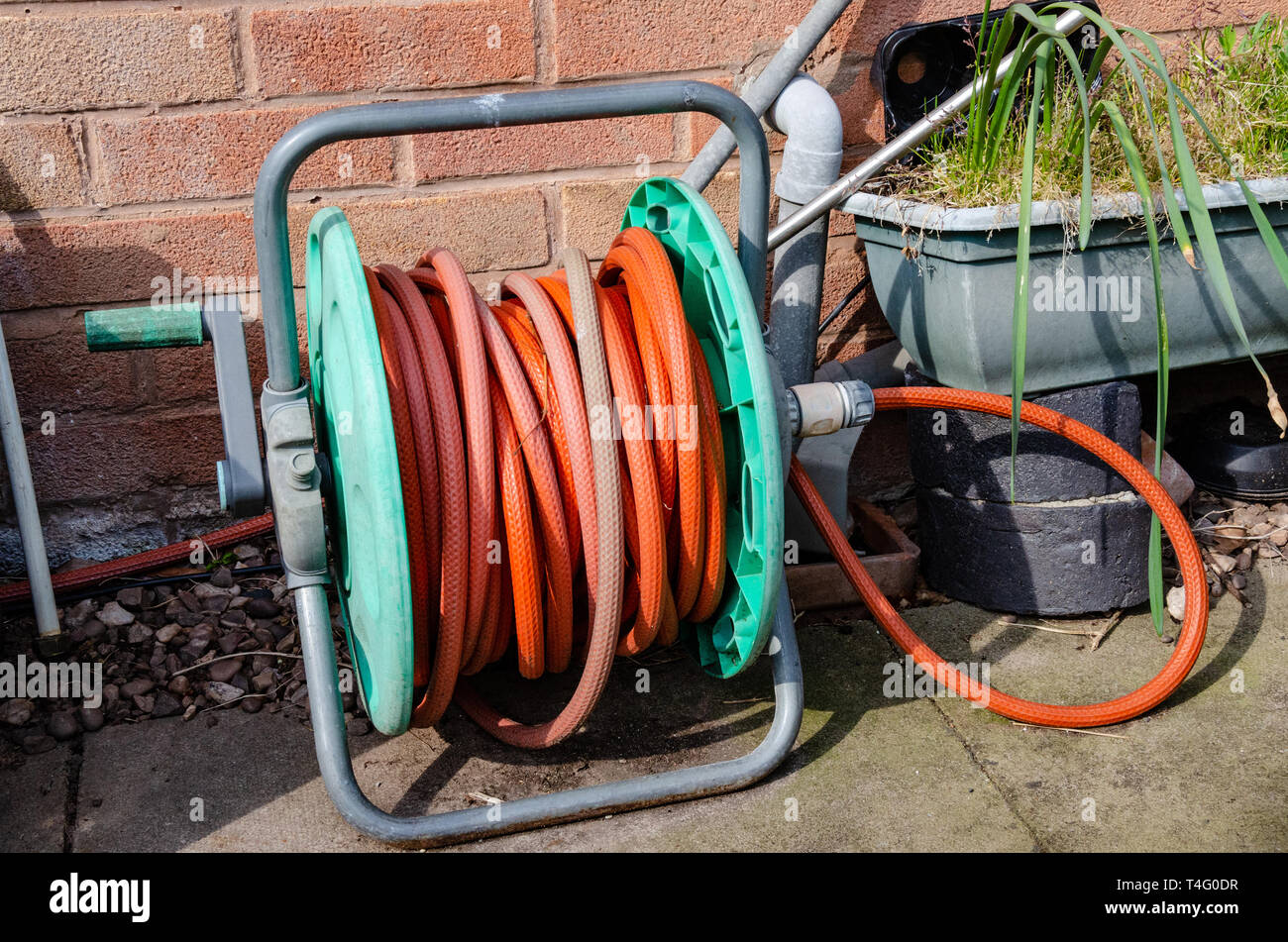 An old, weathered looking hose pipe on a reel on the ground in front of a wall in a back garden. Stock Photo