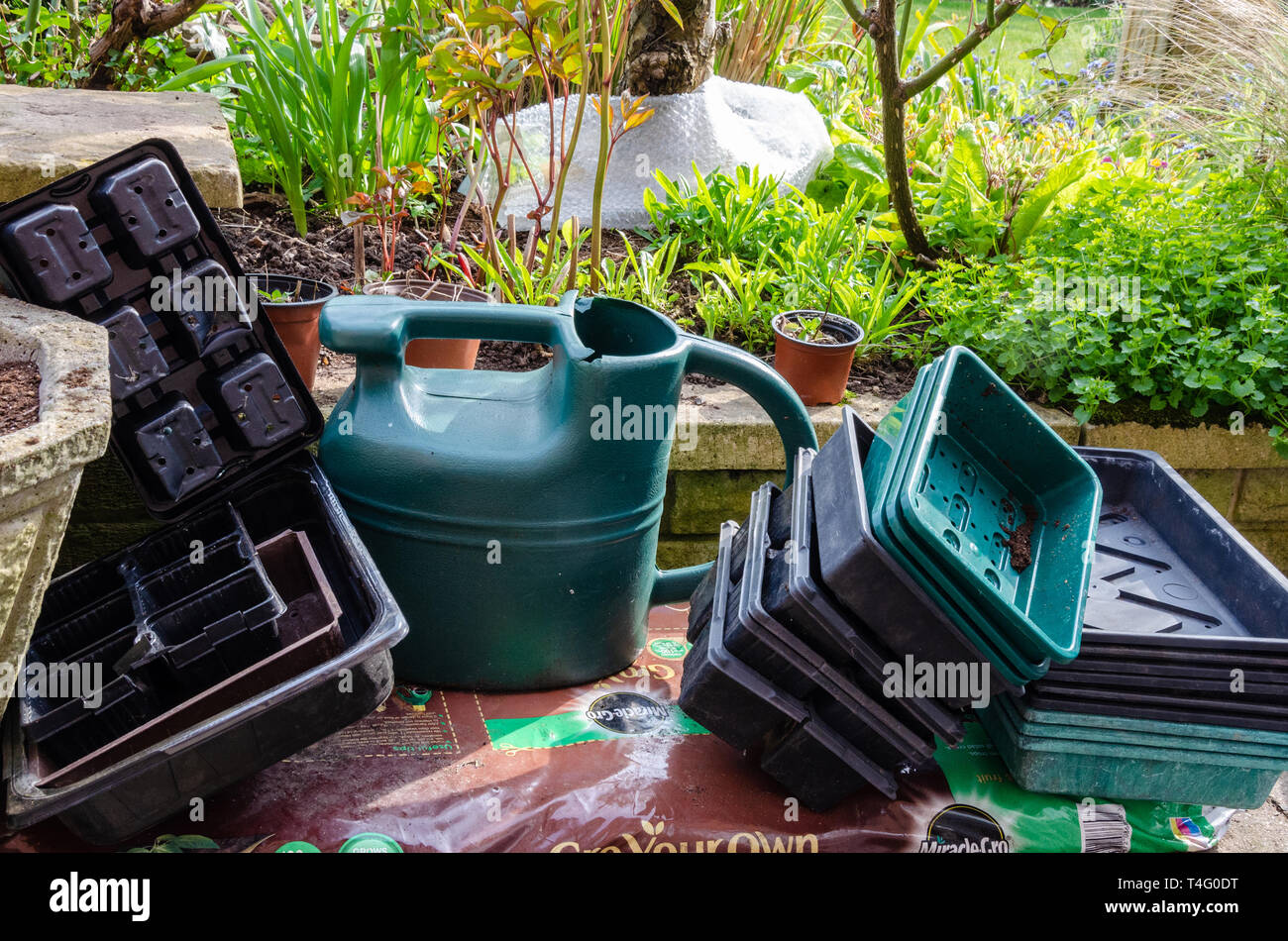 Seed trays, a watering can and a growbag in a corner of a residential back garden ready to use. Stock Photo