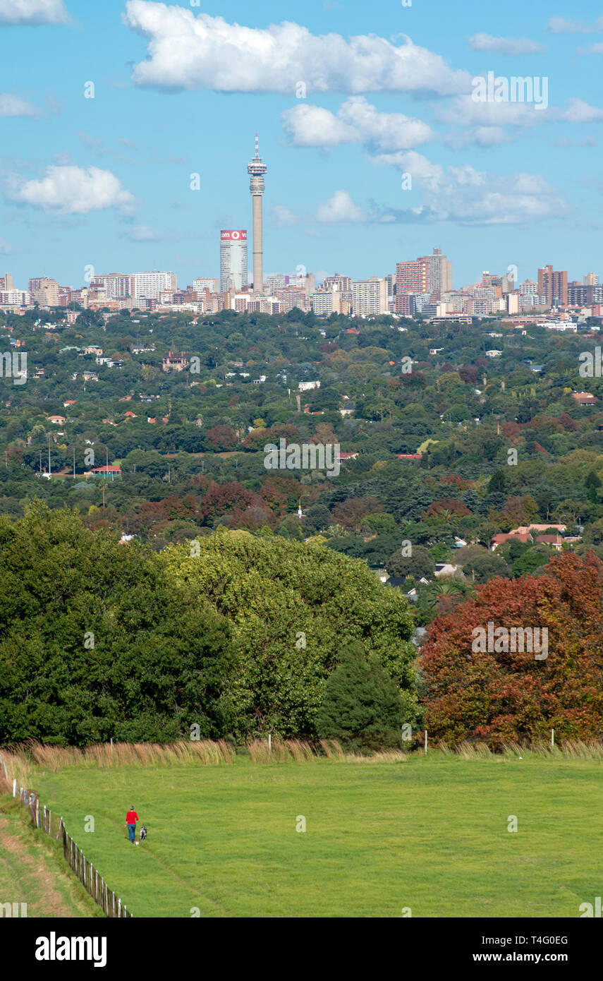 Johannesburg, South Africa, 16th April, 2019. A woman walks walks her dog on a sports field as autumn leaves have started to colour the green sea of trees that surround the Johannesburg skyline, Tuesday afternoon. Credit: Eva-Lotta Jansson/Alamy Stock Photo