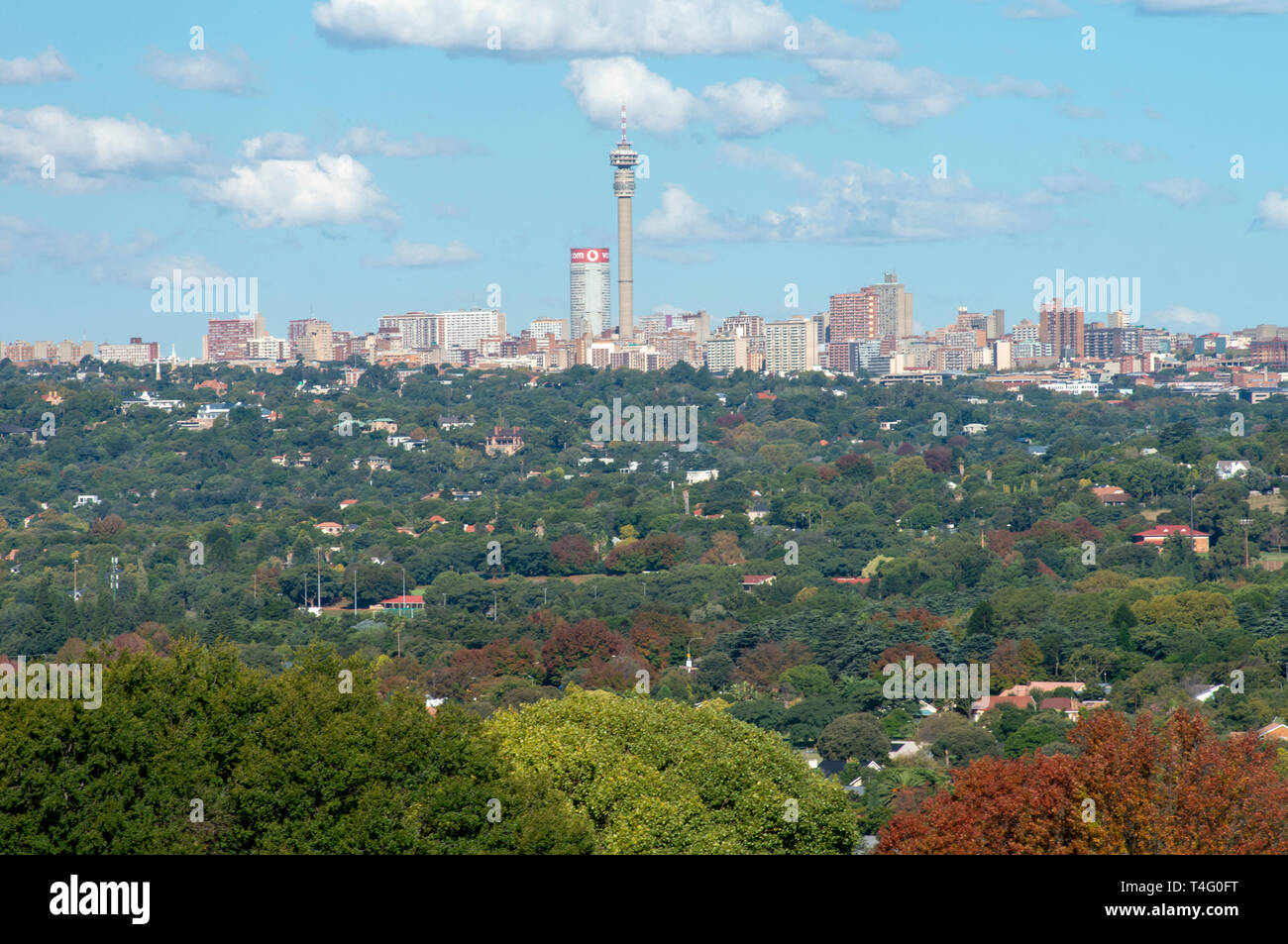 Johannesburg, South Africa, 16th April, 2019. Autumn leaves have started to colour the green sea of trees that surround the Johannesburg skyline, Tuesday afternoon. Credit: Eva-Lotta Jansson/Alamy Stock Photo