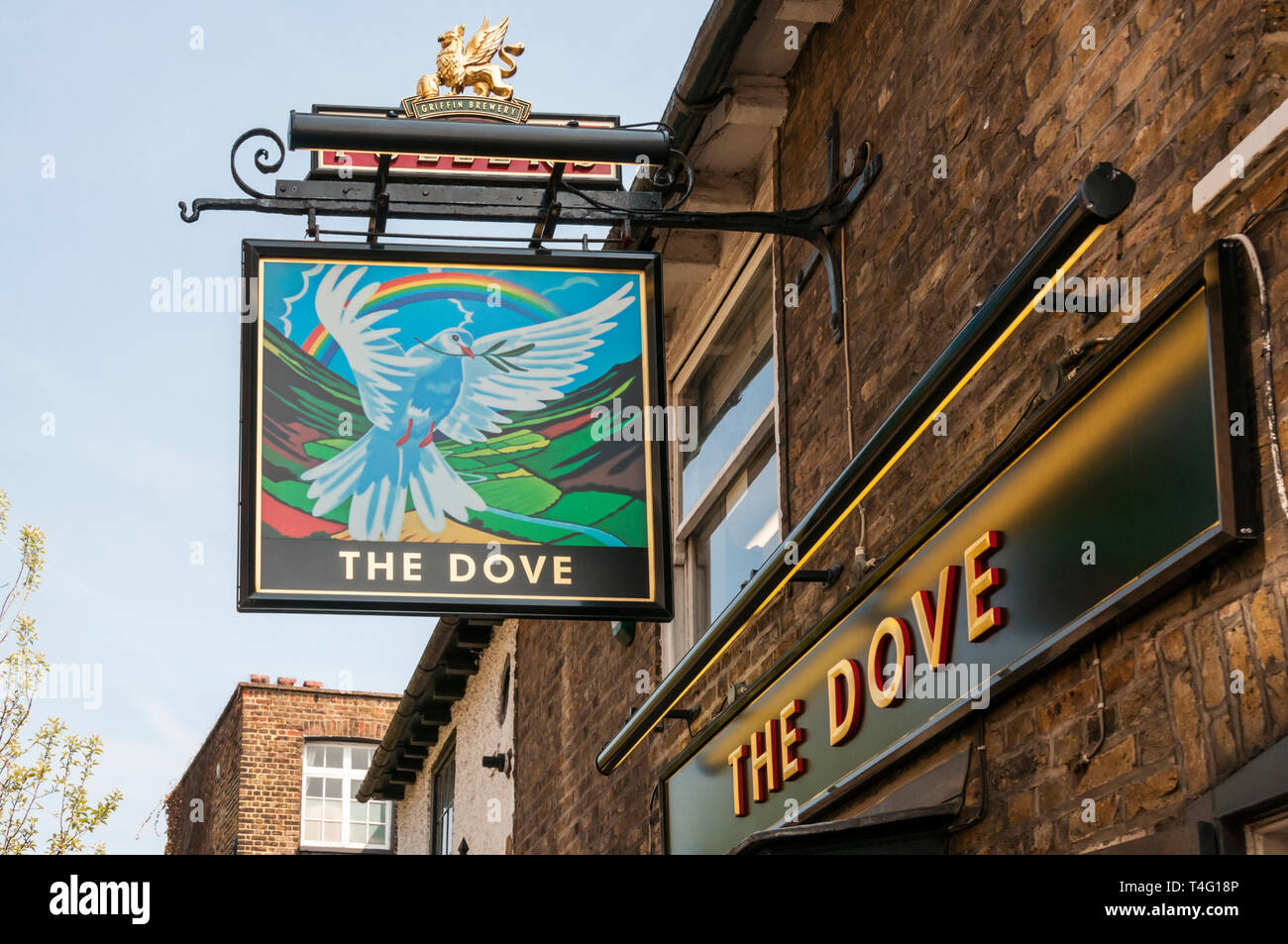 Pub sign of The Dove.  A historic Fullers public house beside the Thames on Upper Mall, Hammersmith. Stock Photo