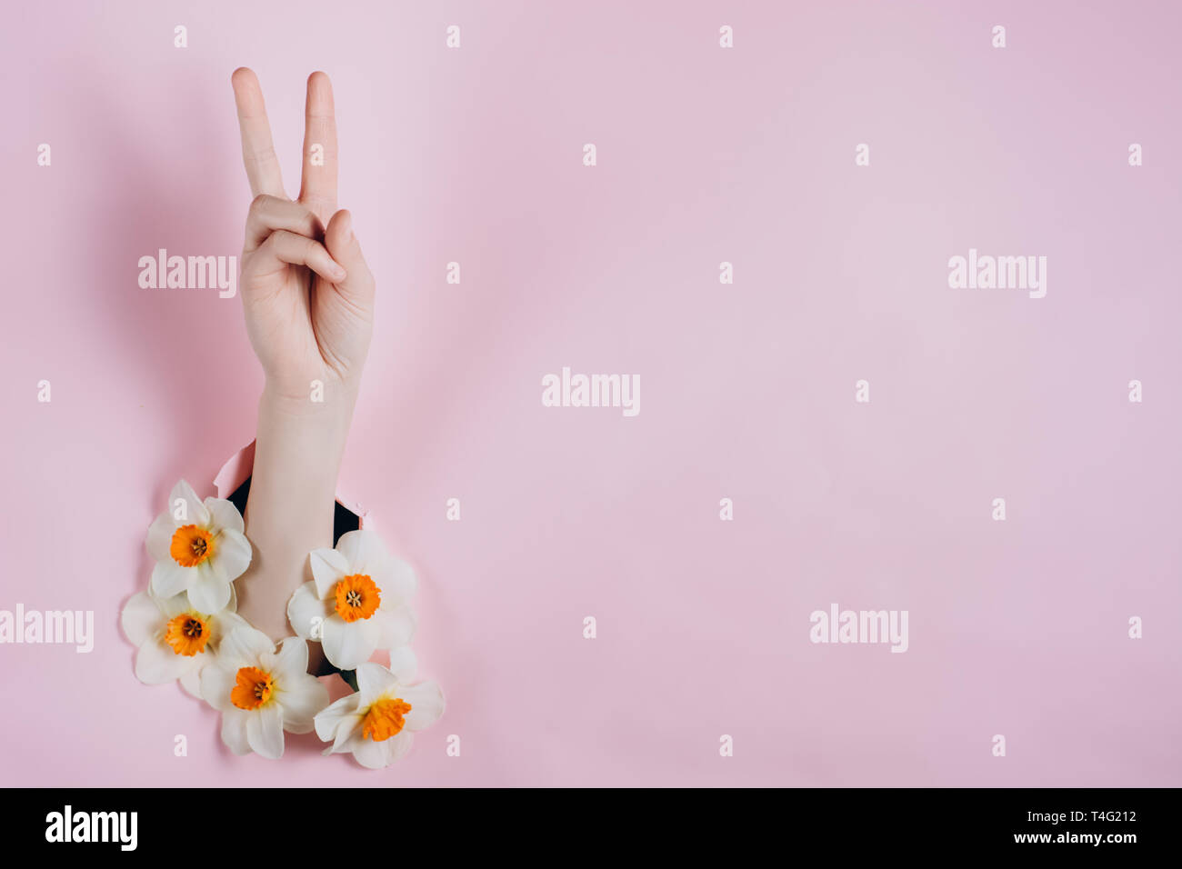 Female show hands with victory sign that can be seen through a hole in pink paper with flowers. Body language concept. Stock Photo