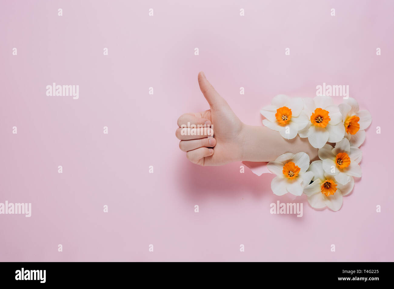 Female hand shows a gesture of approval, can be seen through a hole in pink paper with flowers. Body language concept. Stock Photo