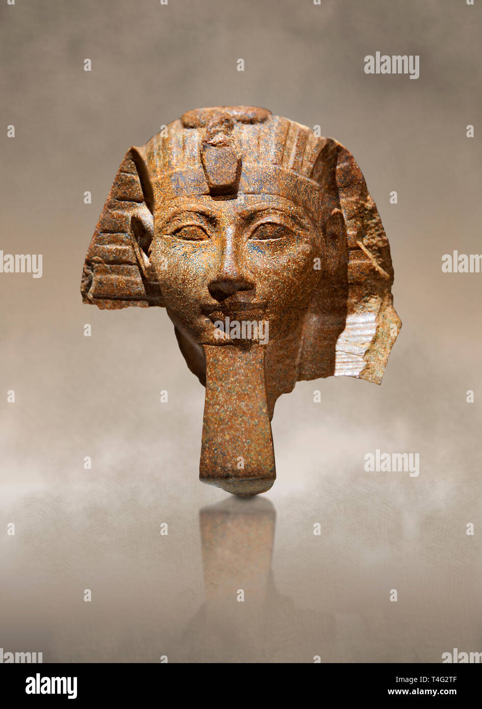 Ancient Egyptian statue head of Queen Hatshepsut or King Thutmose III