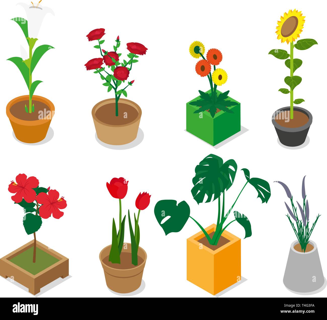 Isometric Assorted Flower Stock Vector