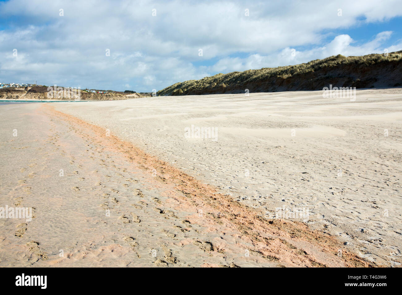 Pink scum on Porthkidney beach in Lelant, Cornwall, UK Stock Photo Alamy