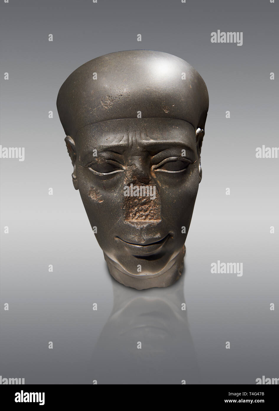Ancient Egyptian Greywacke statue head . 27 th Dynasty 500 BC . Neues Museum Berlin Cat No: AM 31196 Stock Photo