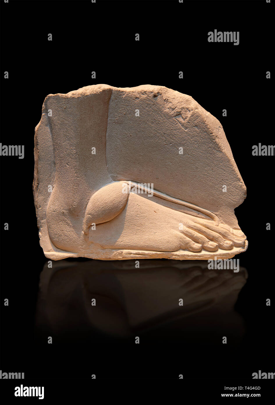 Ancient Egyptian relief study of a foot. 18th Dynasty 1345 BC . Neues Museum Berlin AM 20672. Stock Photo