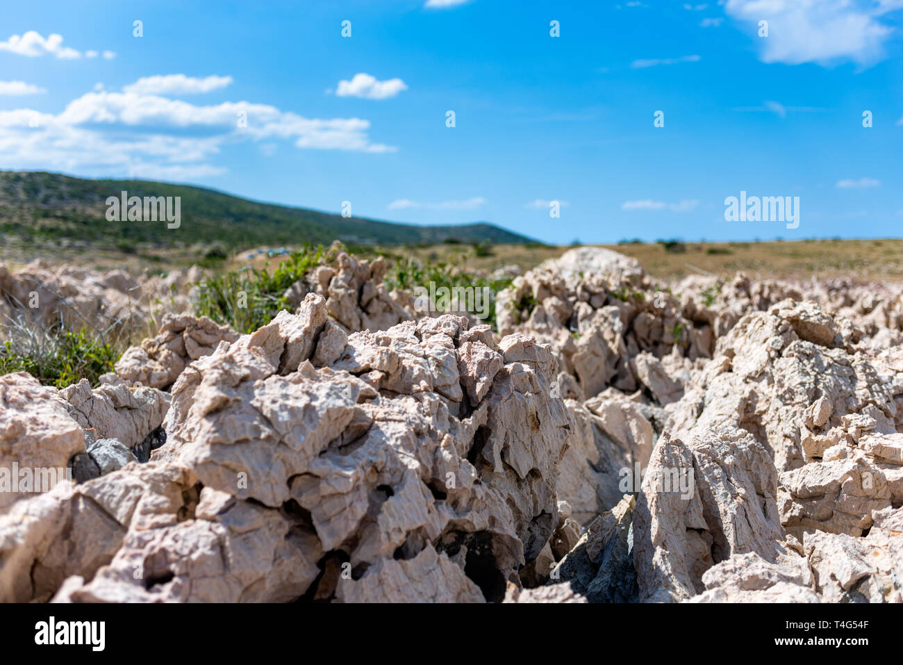 Selective focus on rocks structure on Dalmatian coastline on Hvar. Sunny day with blue sky - shallow dept of field. Stock Photo