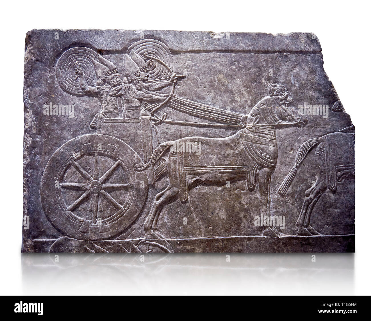 Stone relief sculptured panel of aa Assyrian Chariot. From the palace ...