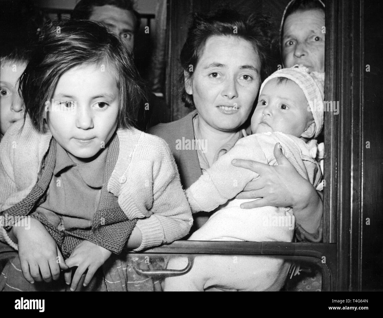 A special train with Hungarian refugees on 14 November 1956 in Frankfurt on its way from Austria to the Netherlands. Due to the put down of the Hungarian Uprising in 1956 by Soviet forces around 200.000 people fled the county towards the West. | usage worldwide Stock Photo