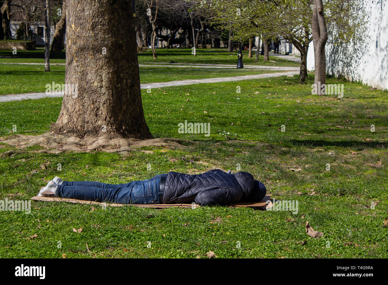 Homeless man sleeping in the park lying on the floor Stock Photo