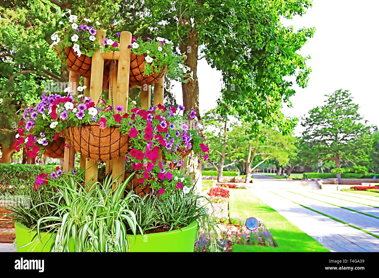 Flowers In Big Pot In Park Ramat Hanadiv Memorial Gardens Of