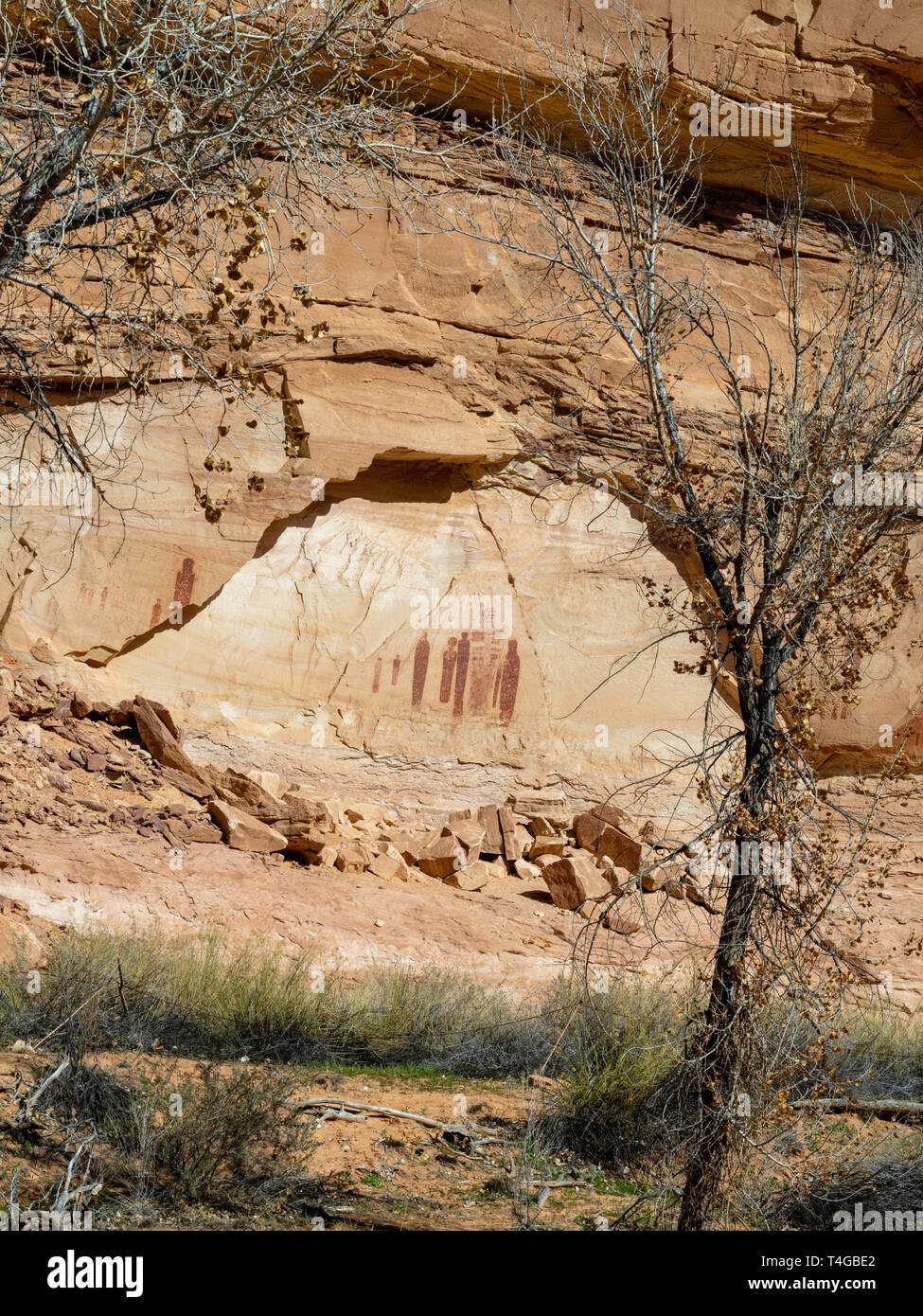 Horseshoe canyon pictographs utah hires stock photography and images Alamy