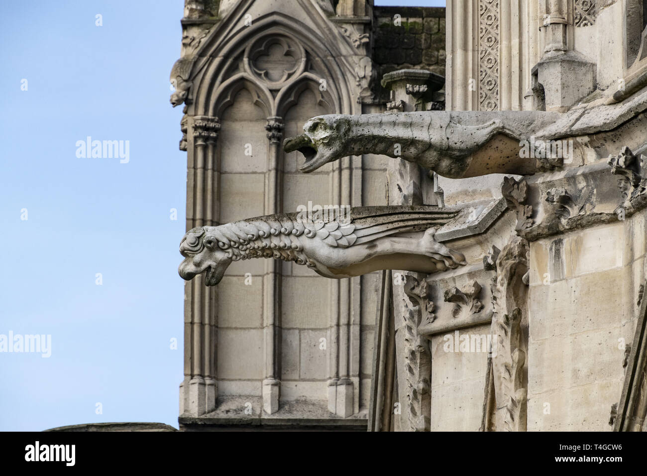 Cathedral roof with gargoyles hires stock photography and images Alamy