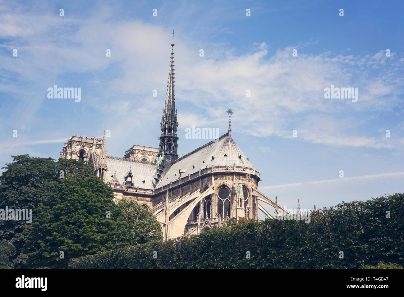 Notre Dame roof in Paris Stock Photo - Alamy