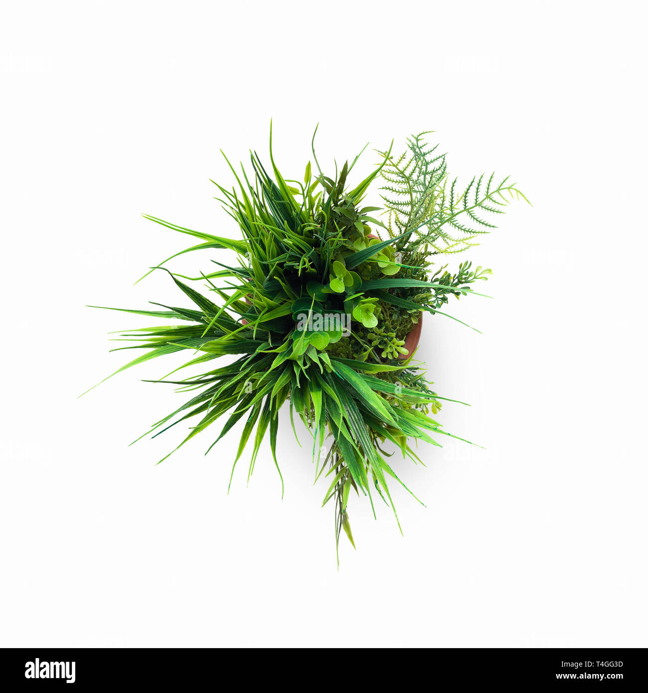 Mini artificial plant in pot isolated on white Stock Photo Alamy