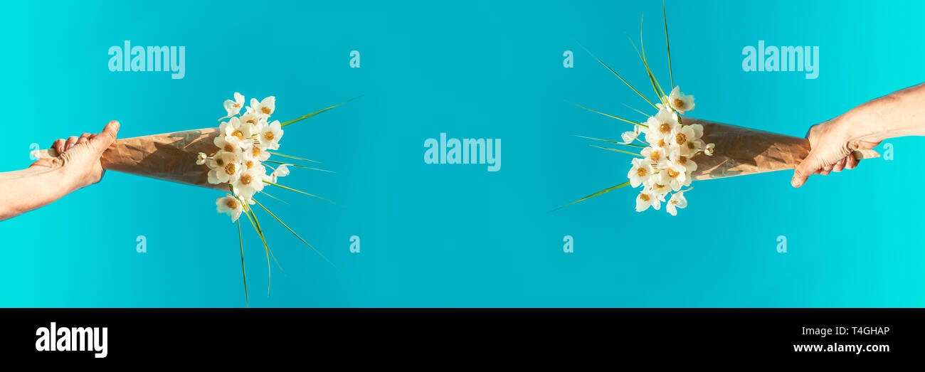 White flowers in hand against blue sky. Summer background concept. Conceptual realism Banner Stock Photo