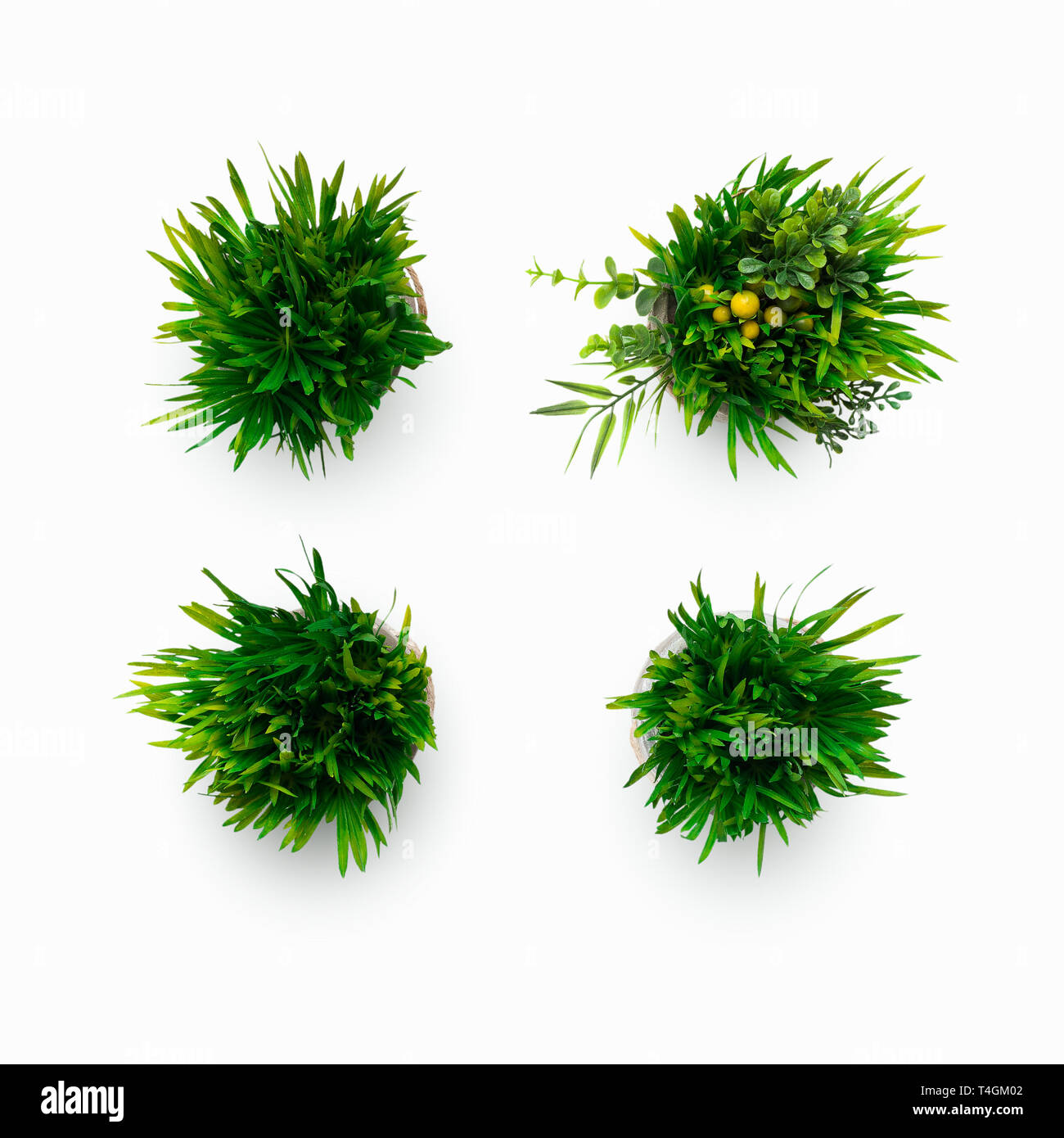 Artificial grassy plants in pots isolated on white Stock Photo