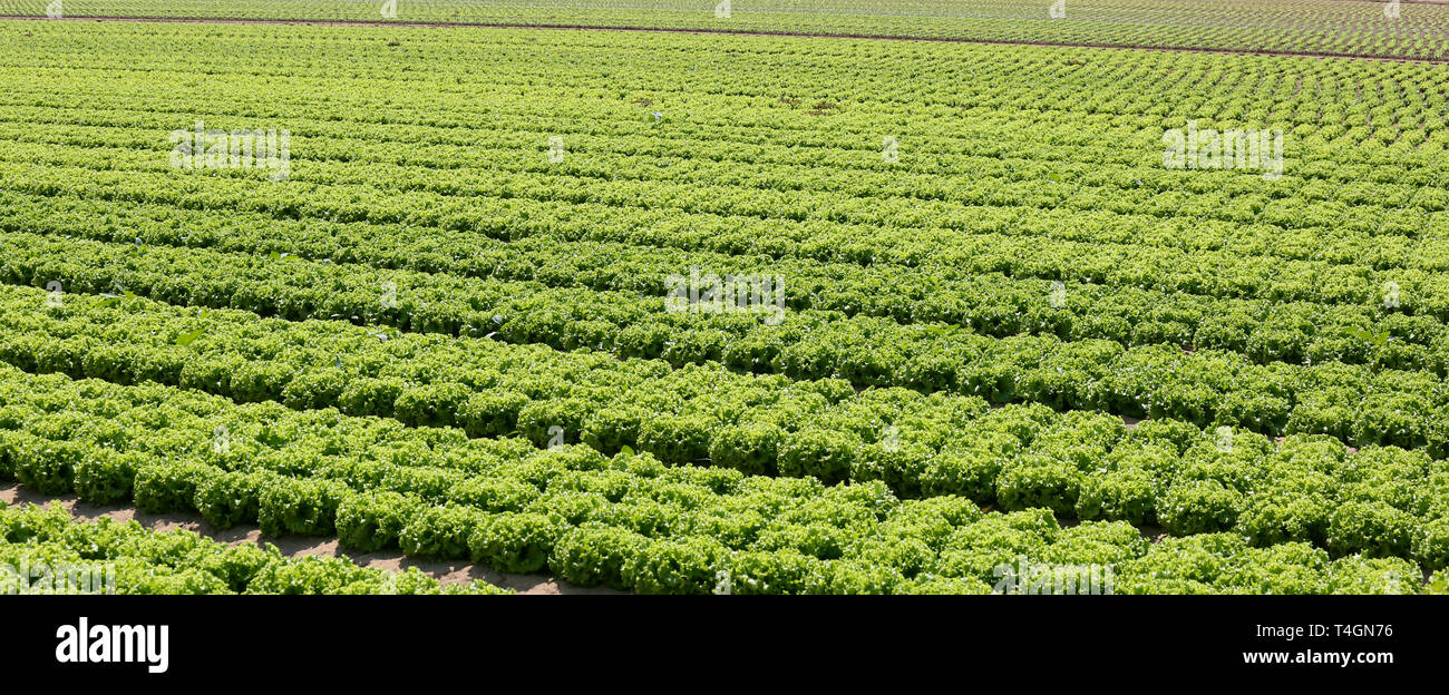 Cultivated plain hi-res stock photography and images - Alamy