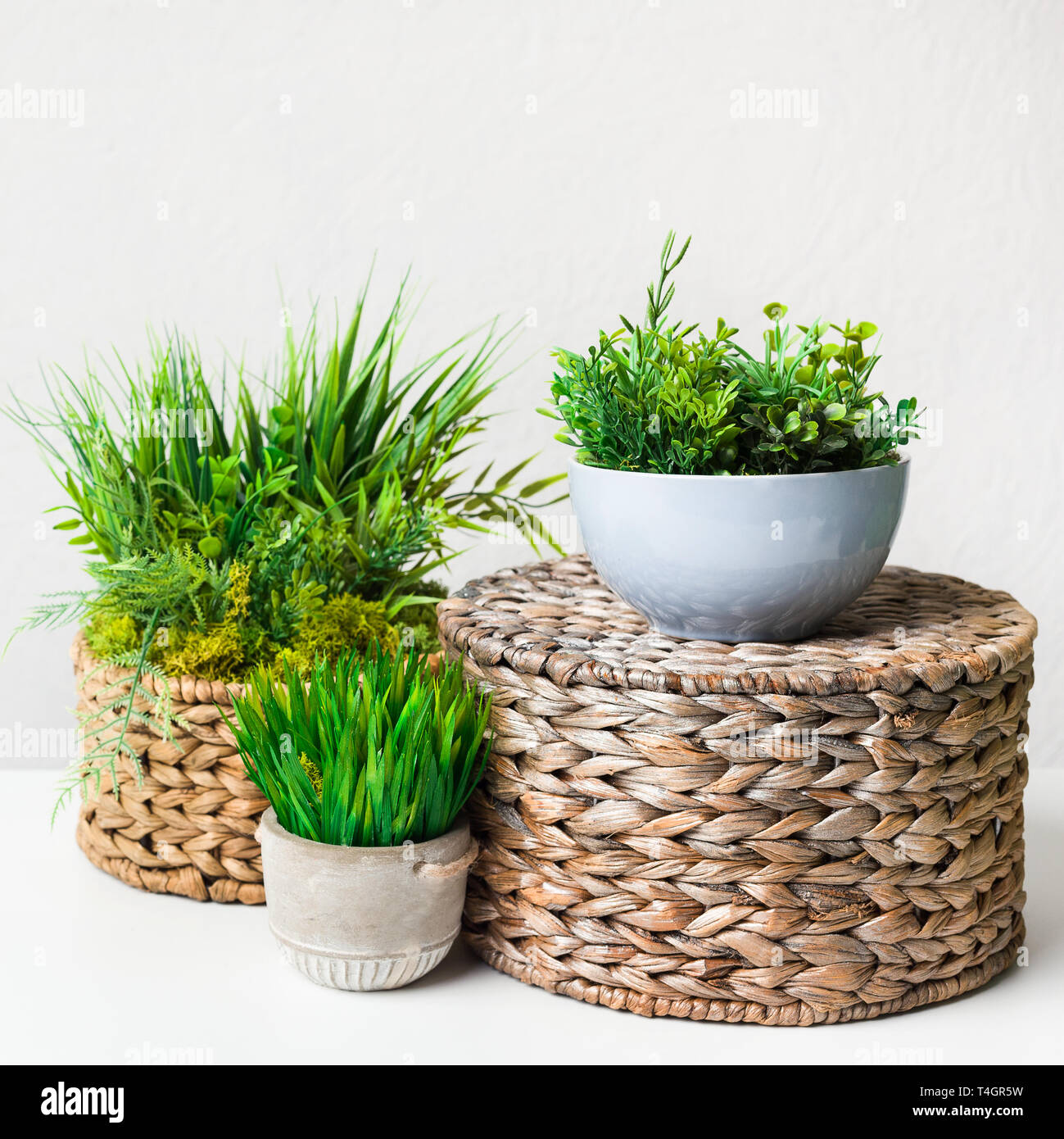 Artificial grassy plants in pots on wicker boxes over light wall, crop Stock Photo