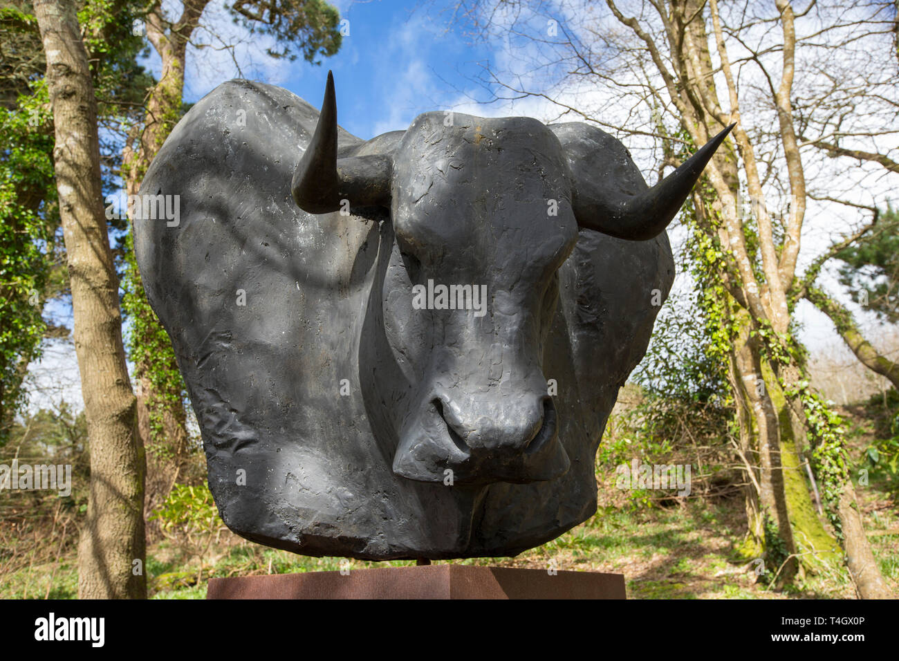 A Minotaur sculpture in the Tremenheere Sculpture Gardens, Gulval, near  Penzance, Cornwall, UK Stock Photo - Alamy