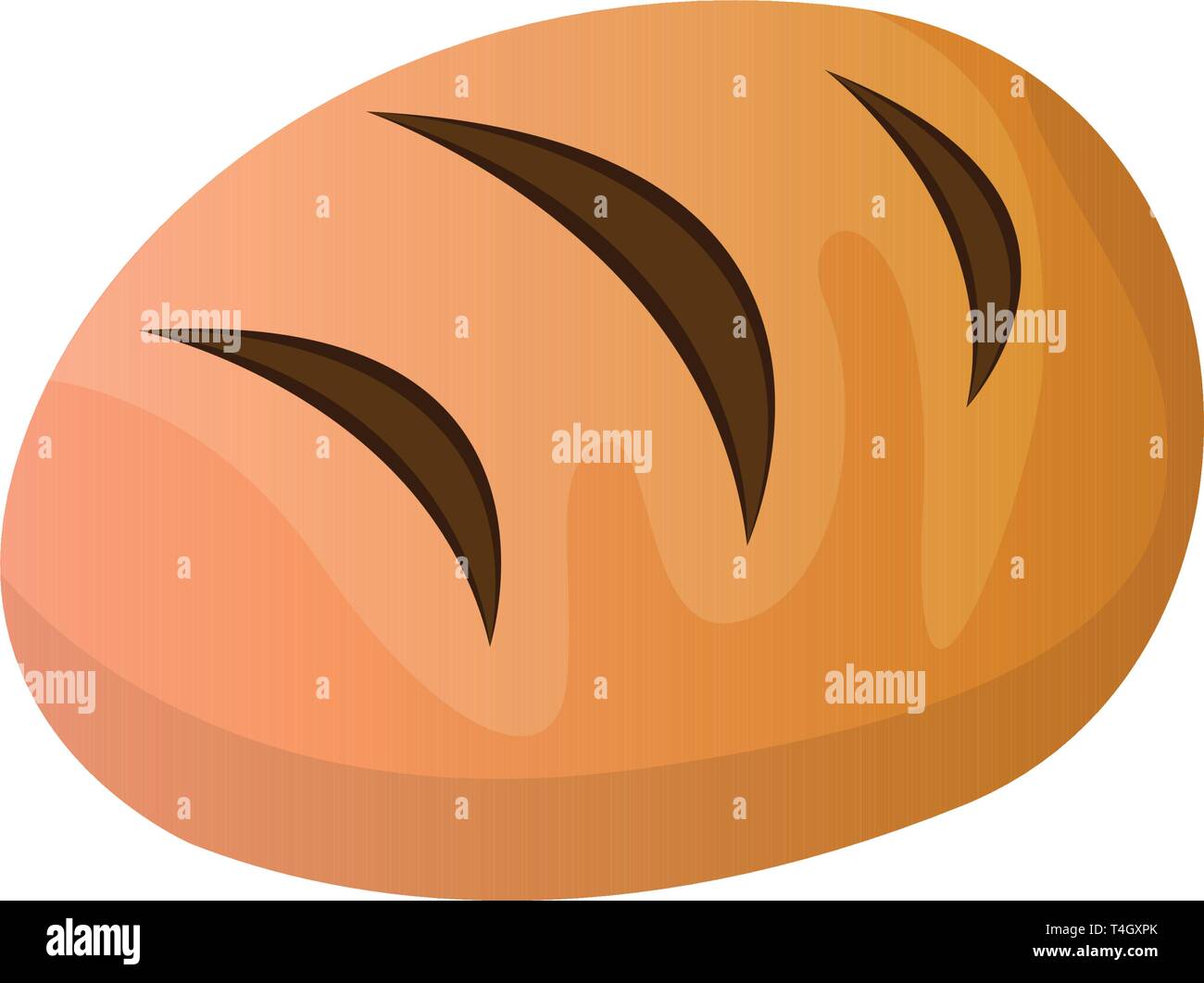 isolated-bread-roll-stock-vector-image-art-alamy