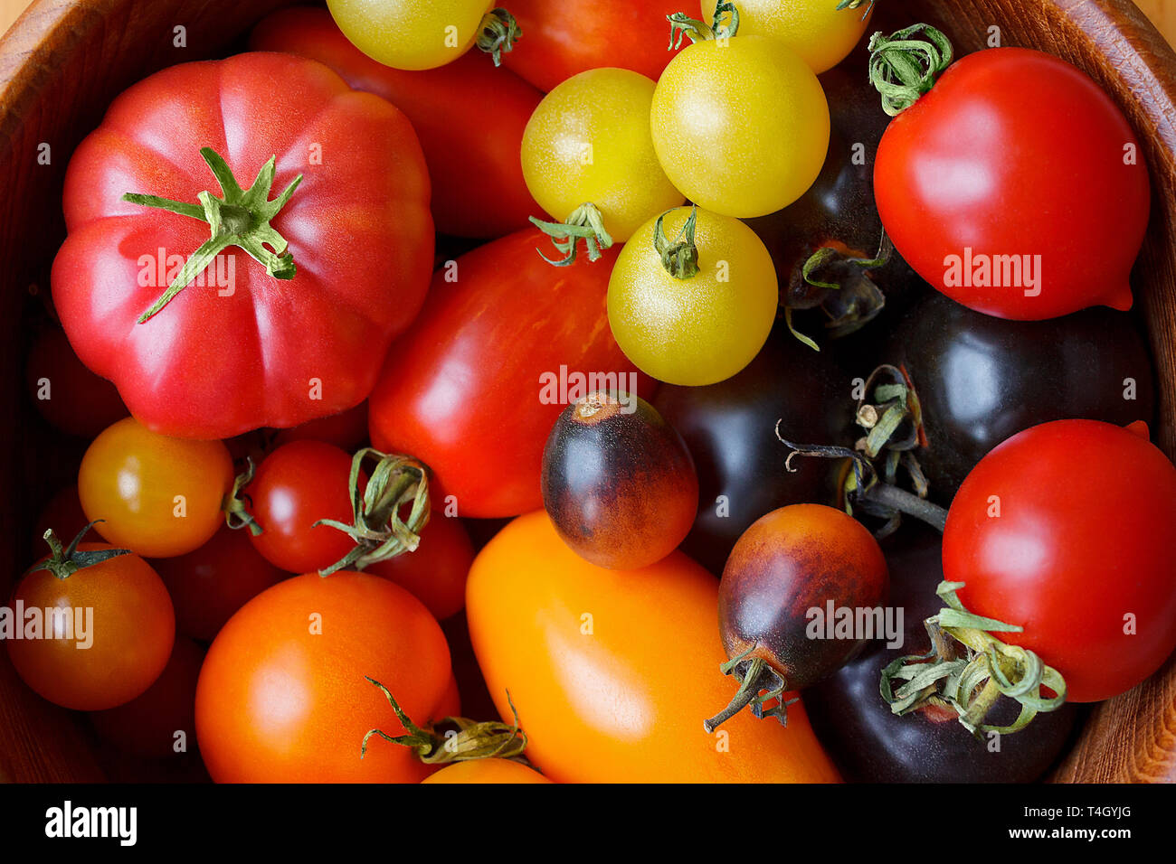 A colorful variety of old tomato cultivars close-up, biological diversity concept Stock Photo