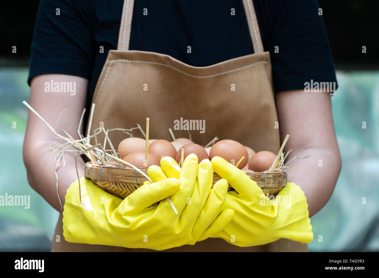 Women with poultry hi-res stock photography and images - Page 15 - Alamy