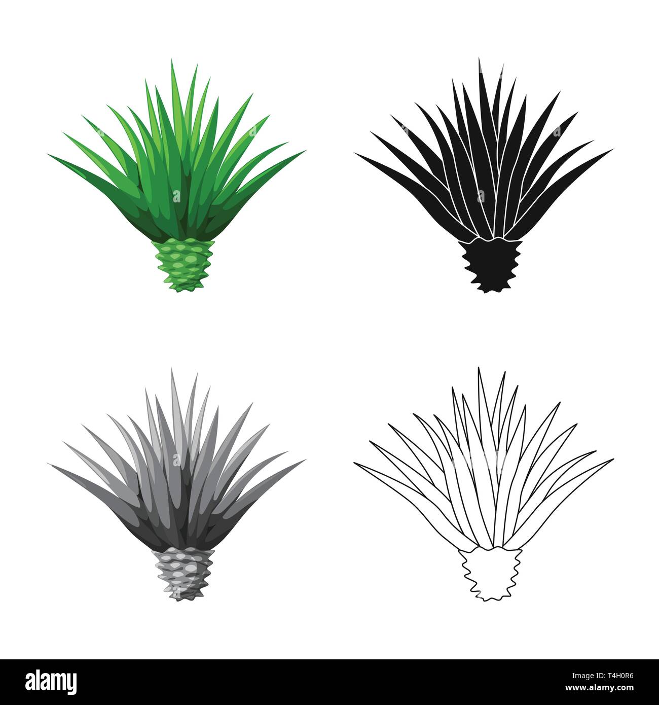 Vector design of agave and plant symbol. Set of agave and cactus stock  symbol for web Stock Vector Image & Art - Alamy